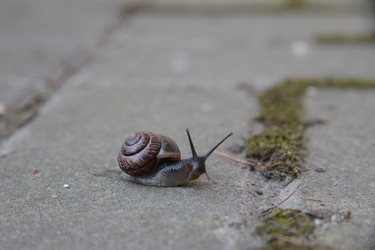 Similar image 1279234