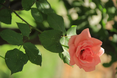 Similar image 1279283