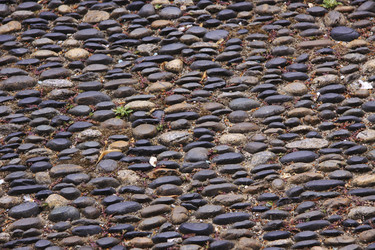 Similar image 1279323