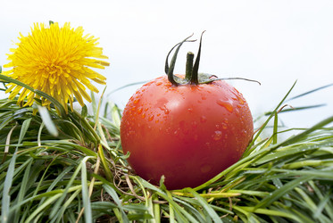 Similar image 1279331