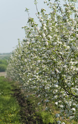 Similar image 1279347