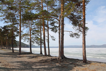 Similar image 1279350