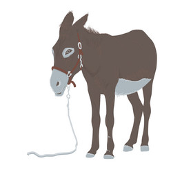 Similar image 1279386