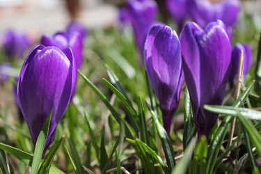 Similar image 1279391