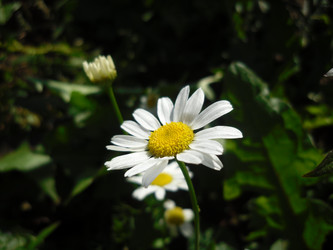 Similar image 1279479