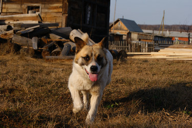 Similar image 1279482