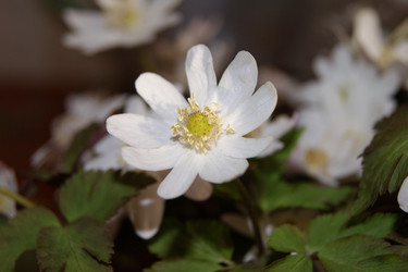 Similar image 1279484