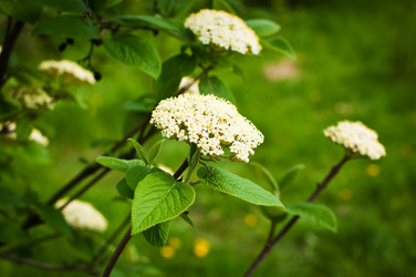 Similar image 1279559