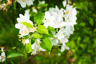 Similar image 1279560