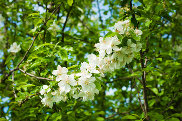 Similar image 1279561