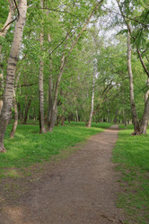 Similar image 1279571