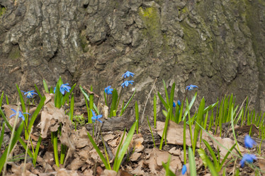 Similar image 1279573