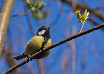 Similar image 1279585