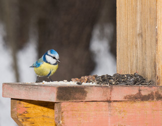 Similar image 1279591