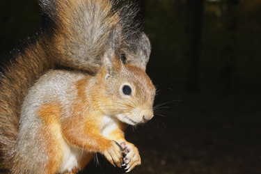 Similar image 1279593