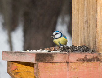 Similar image 1279594