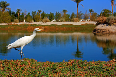 Similar image 1279601