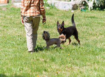 Similar image 1279606