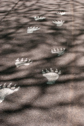 Similar image 1279610