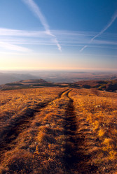 Similar image 1279711