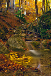 Similar image 1279712