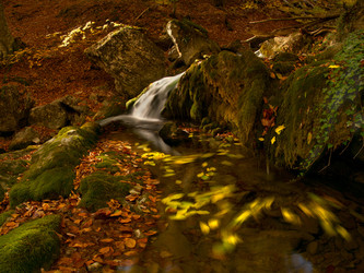 Similar image 1279713