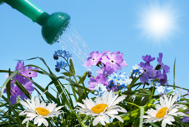 Similar image 1279755