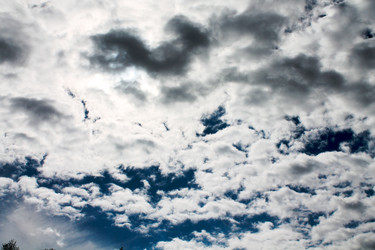 Similar image 1279783