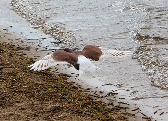 Similar image 1279784