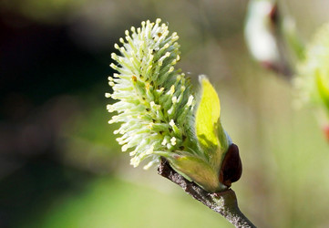 Similar image 1279787