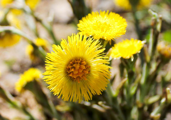 Similar image 1279788