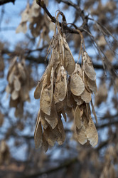 Similar image 1279841