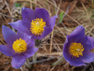 Similar image 1279853