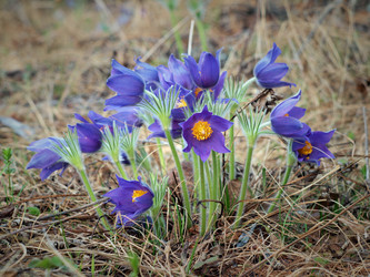 Similar image 1279855