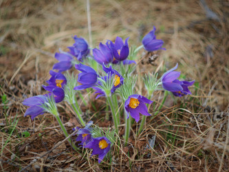 Similar image 1279858