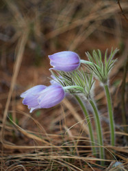 Similar image 1279861