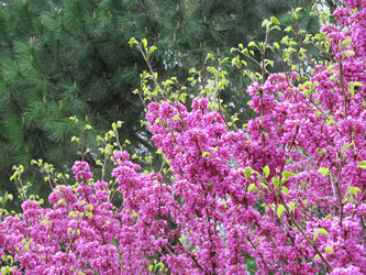 Similar image 1279899