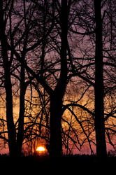 Similar image 1279901