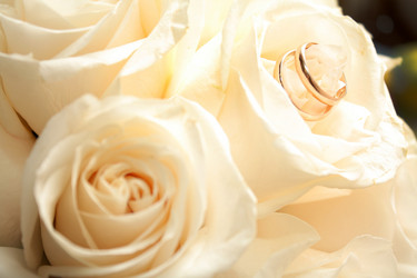 Similar image 1279905