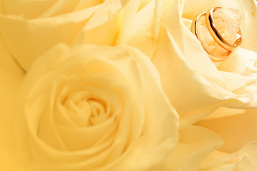 Similar image 1279906