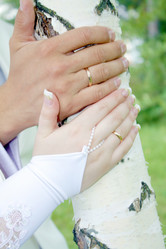 Similar image 1279908