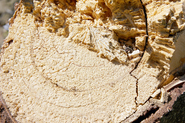 Similar image 1279909