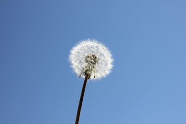 Similar image 1279923