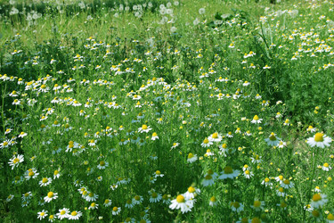 Similar image 1279926