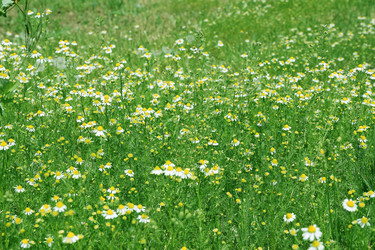 Similar image 1279927