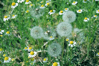 Similar image 1279928