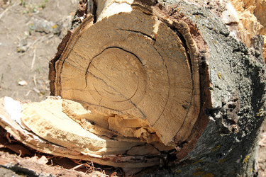 Similar image 1279929