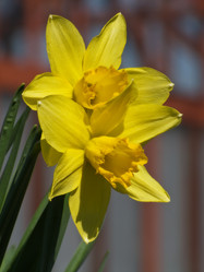 Similar image 1279945