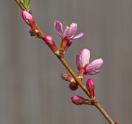 Similar image 1279946