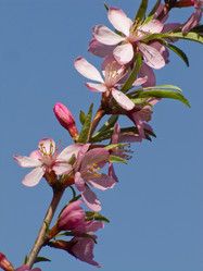 Similar image 1279947